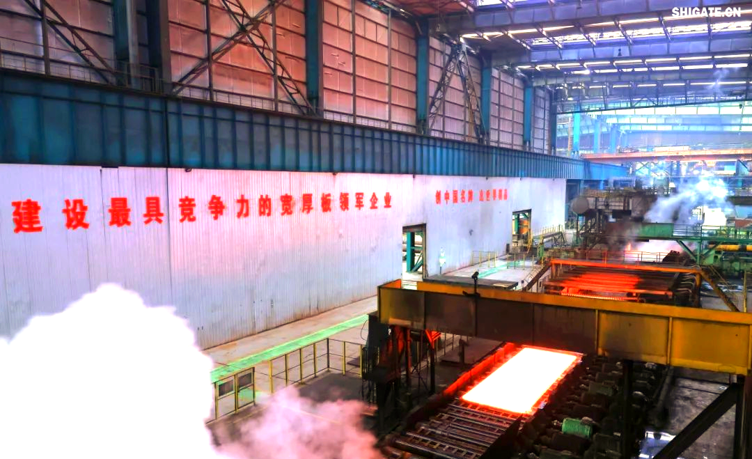 260余种宽厚板产品成功替代进口或按国外标准生产，多个品种填补国内空白并独家供货，更有40余种远销海外。舞钢公司不仅主导制定了临氢设备用铬钼合金钢板等十余项国家标准，还荣获国家科学技术进步奖一等奖2项、二等奖1项，省部级科技进步奖更是数不胜数。自创立以来，河钢集团舞钢公司便深耕宽厚板研发制造，打造出响亮的民族品牌，稳坐世界宽厚板领域的头把交椅。