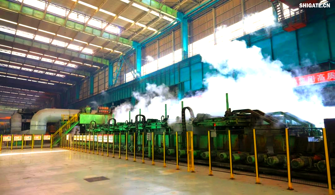 260余种宽厚板产品成功替代进口或按国外标准生产，多个品种填补国内空白并独家供货，更有40余种远销海外。舞钢公司不仅主导制定了临氢设备用铬钼合金钢板等十余项国家标准，还荣获国家科学技术进步奖一等奖2项、二等奖1项，省部级科技进步奖更是数不胜数。自创立以来，河钢集团舞钢公司便深耕宽厚板研发制造，打造出响亮的民族品牌，稳坐世界宽厚板领域的头把交椅。